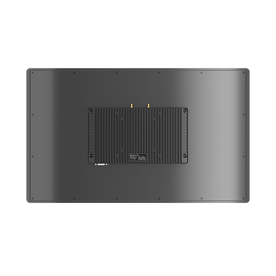 LS21P (5)